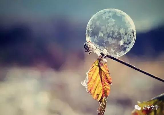 岩泉：猪年诸事已往乎，鼠年数钱可来也