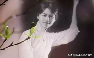 语文九年级上册必背古诗部编版,部编版语文九上文学常识归纳