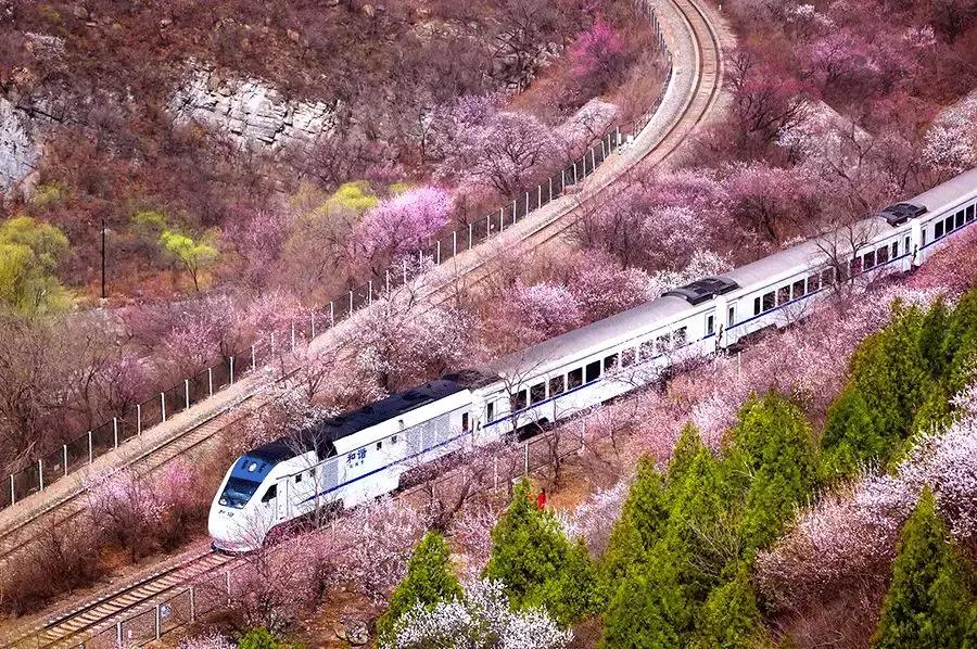 春分送你最美的祝福,春分是春暖花开的季节