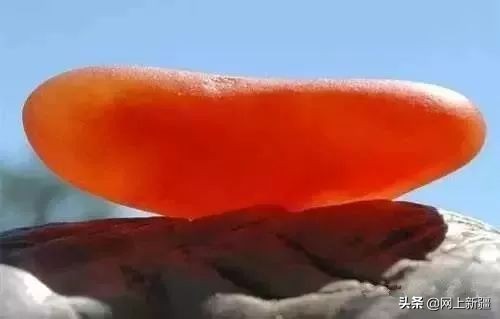 戈壁滩上的宝贝,新疆戈壁沙漠上的宝贝