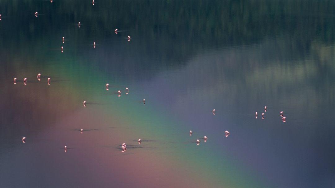 网飞2020高分电视剧排行榜,网飞高分剧排行榜在哪看