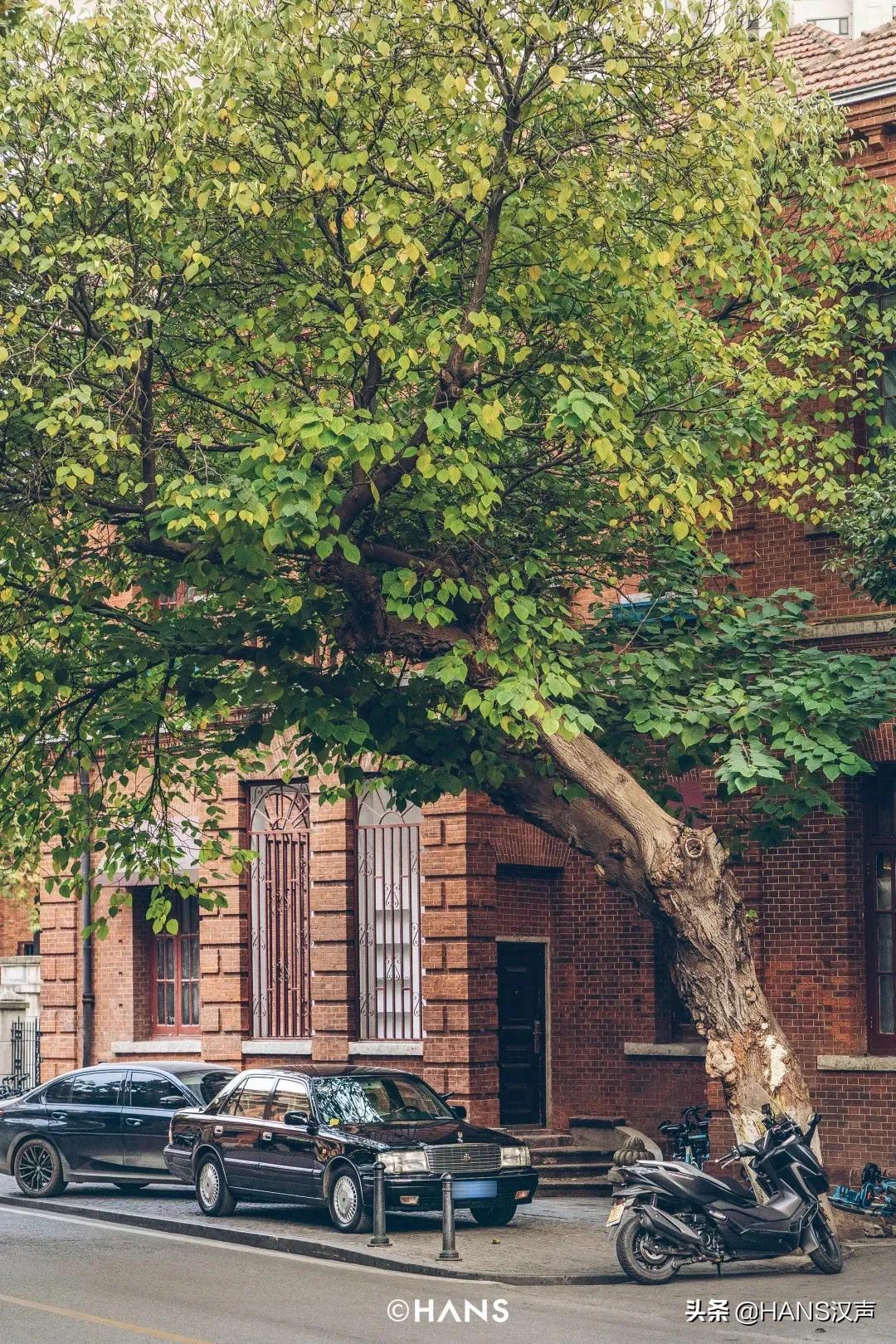 武汉神秘三角地，马路牙子上的通宵派对