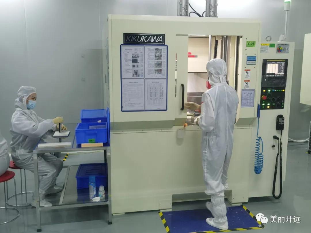 开远金凤凰,开远凤凰腾飞