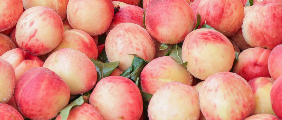 核果类水果的好处,核果类的水果有哪些