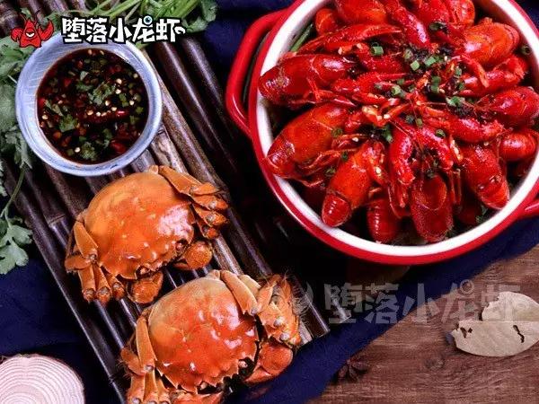 堕落虾公司现状,堕落虾加盟利润