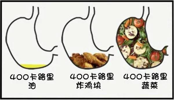 分解脂肪的激素,脂肪的分解过程