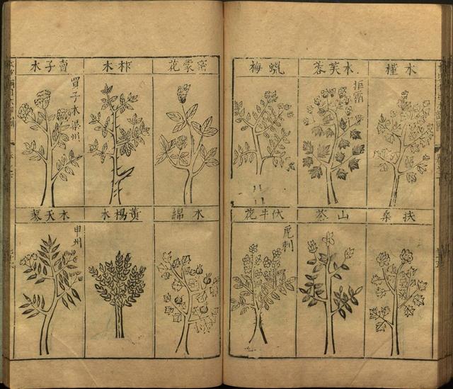 李时珍与本草纲目ppt课件,神农本草经正版李时珍书籍