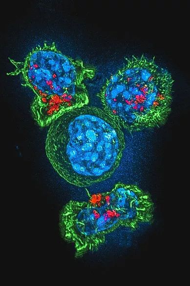 感染病毒后的168小时，你的体内都发生了什么？