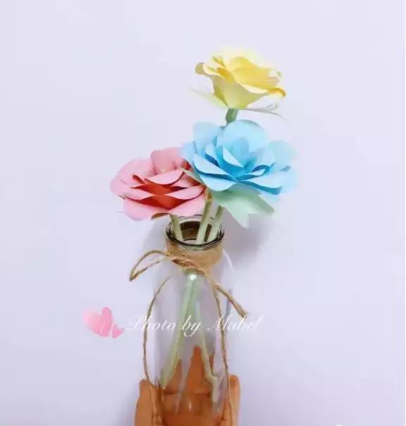 有颜色的玫瑰是怎么做出来的,白玫瑰怎么做七彩玫瑰