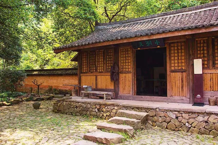 最美银杏秋景自驾攻略,杭州银杏树旅游攻略