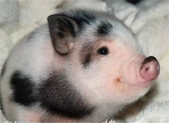 泰国钱100兑换人民币多少,泰国100元等于多少人民币