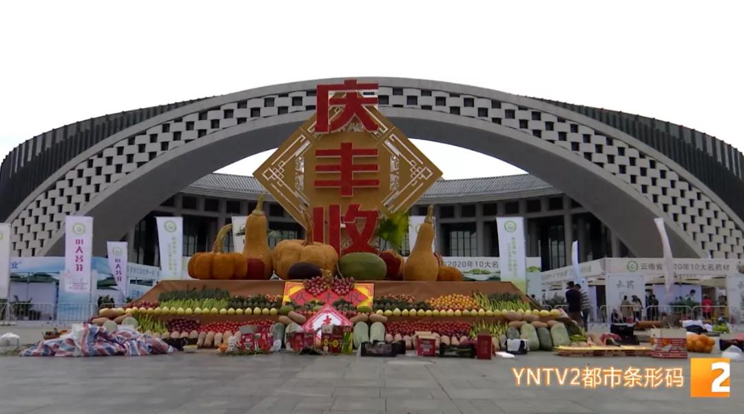 云南山货夏威夷果,云南哪里的夏威夷果比较出名