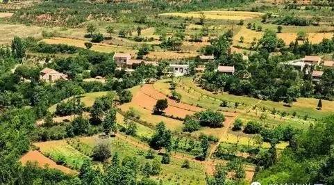 西安2023樱桃采摘园附近,西安樱桃采摘园地图