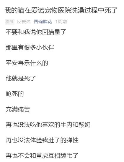 爱诺宠物医院事件,爱诺宠物医院大众点评