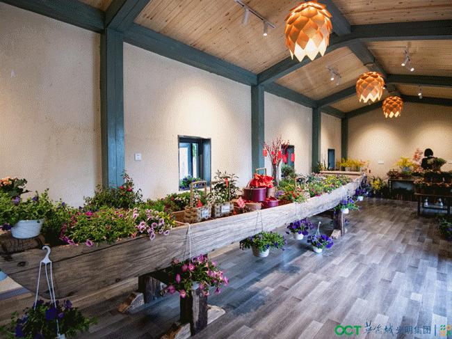 女神节优惠门票深圳,女神节深圳游玩攻略