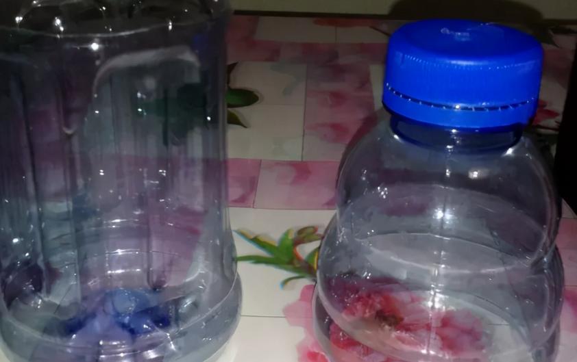 塑料瓶养花的正确方法,适合养花的塑料瓶