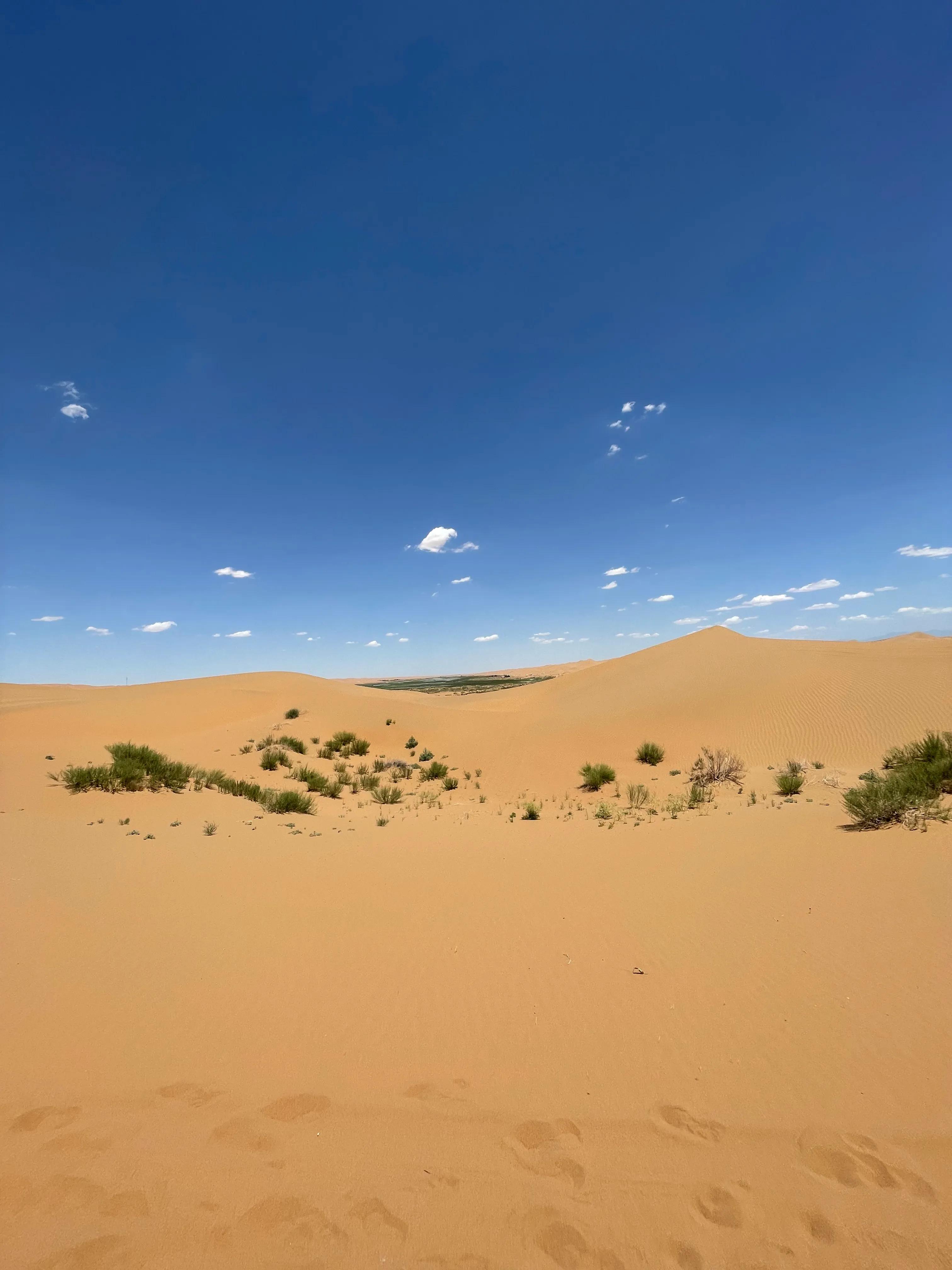 为我们的沙漠徒步画上圆满的句号