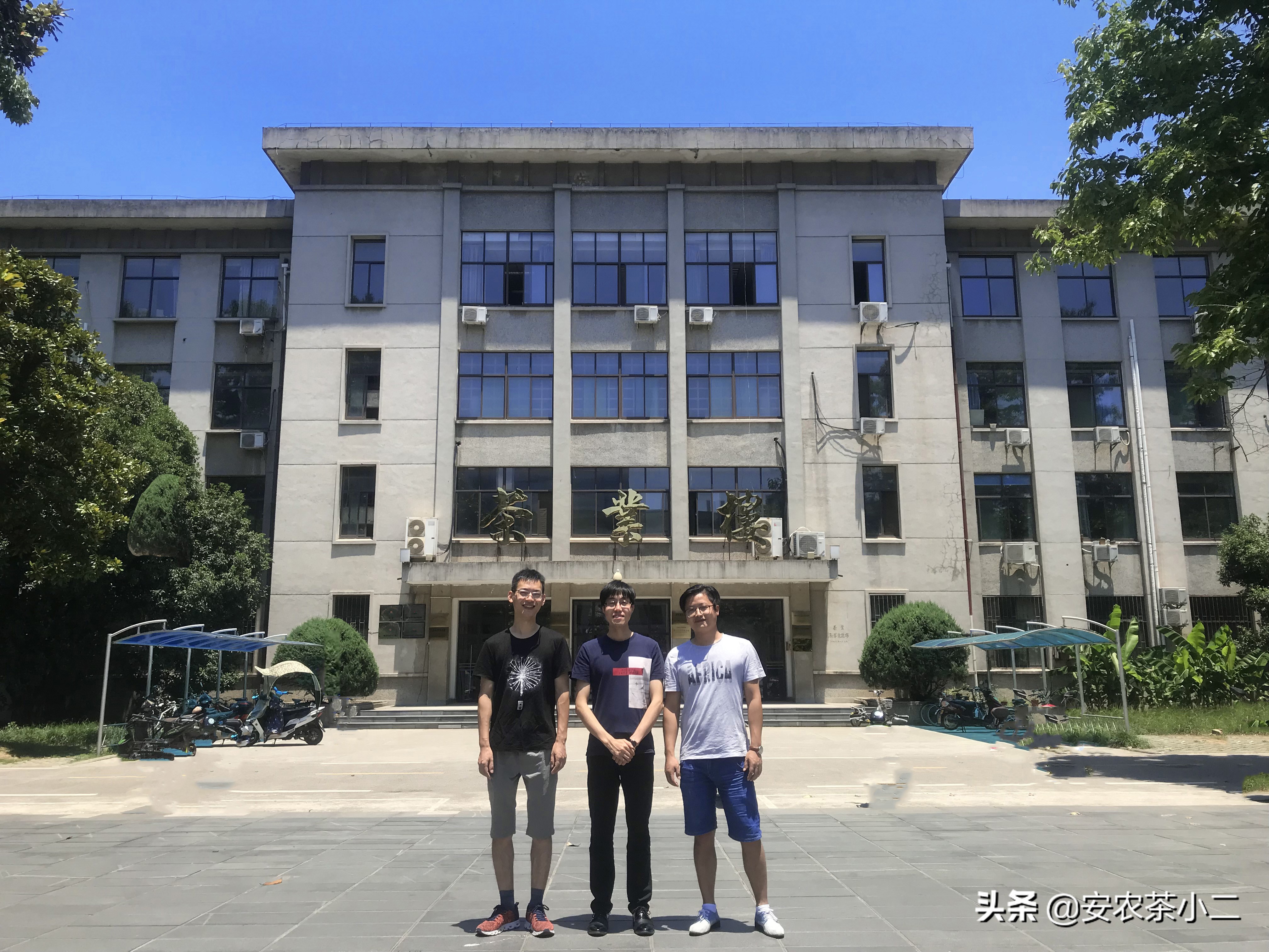 最顶级西湖龙井茶多少钱一斤,西湖龙井最贵茶树在哪里