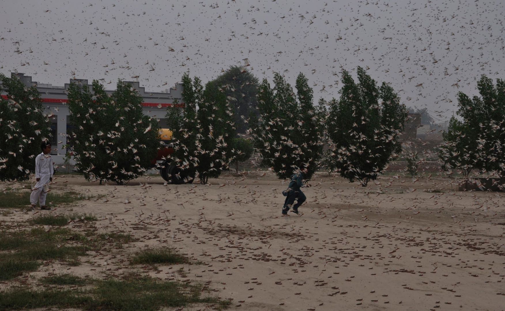 伊朗目前疫情防控措施,伊朗最新疫情疫情