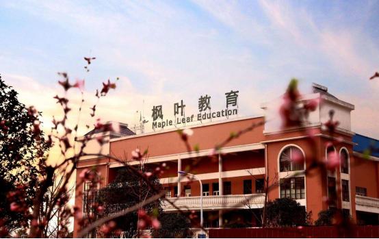 武汉私立幼儿园收费最贵的前十名,武汉私立幼儿园收费明细表