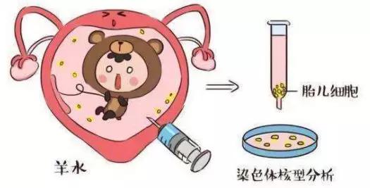 你还相信酸儿辣女吗,如何帮助孩子走出性别认识误区