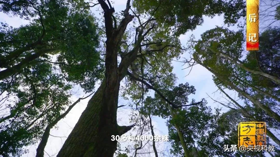 影像方志天峻,中国影像方志四川大竹篇