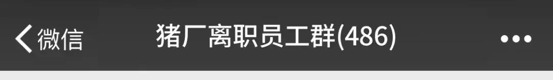 有活力的微信群名,当代年轻人微信群名