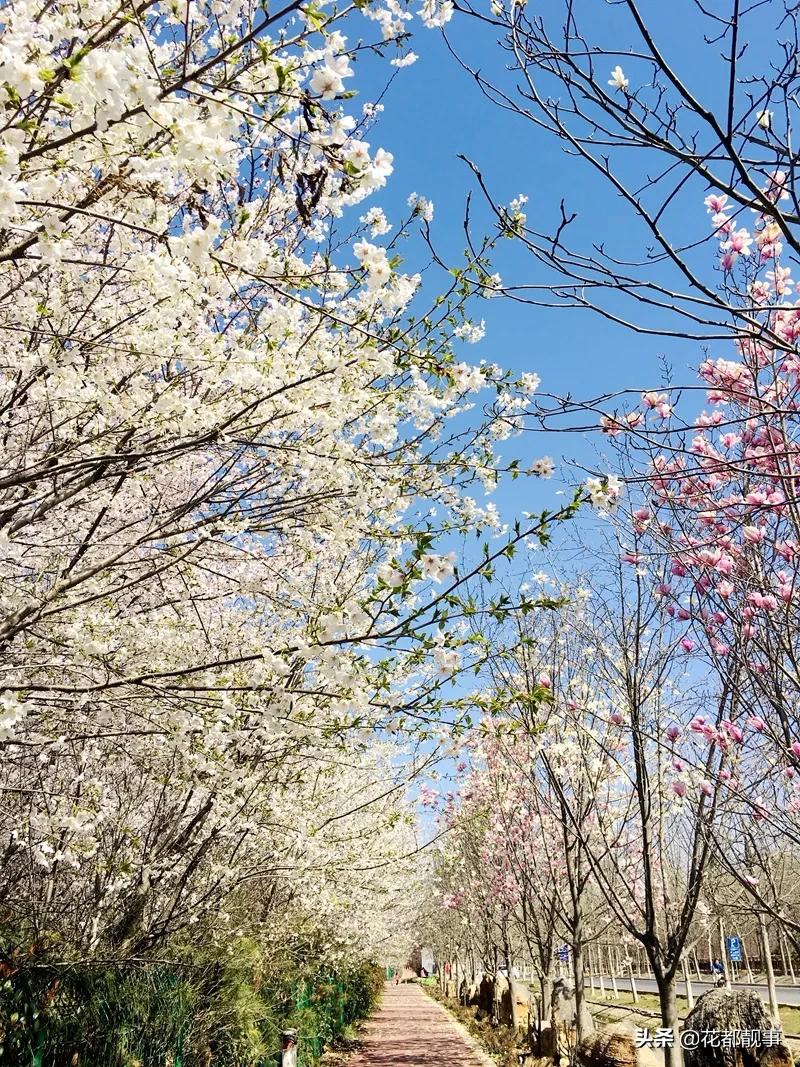 美丽泽州我的家,美丽我的家