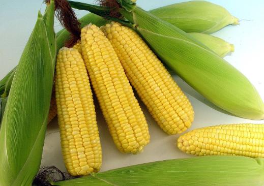 猪肝可以保护孩子的眼睛吗,保护视力的食物猪肝