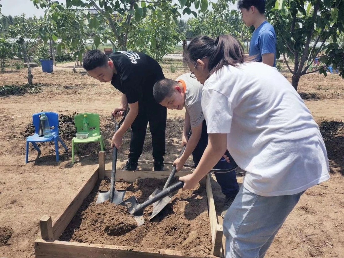 农村五亩地怎样利用赚钱,土地怎样利用赚钱