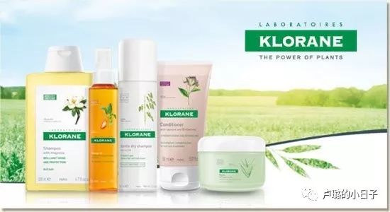 适合细软发质油头扁塌头的洗发水,适合油头细软塌发质防脱的洗发水