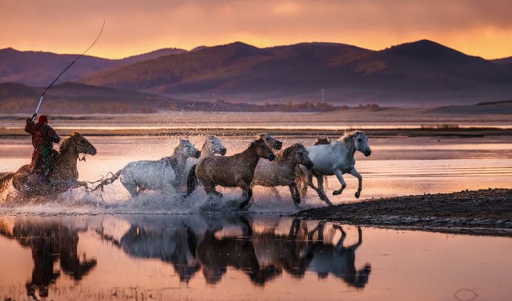北京周边美丽的地方,初秋北京周边适合去的景点推荐