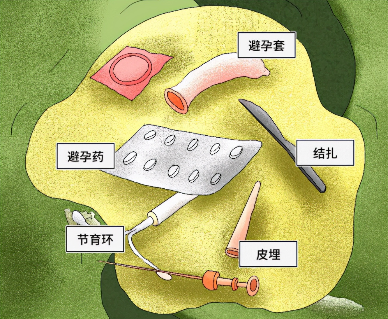 人类早期避孕,人类的生殖与避孕