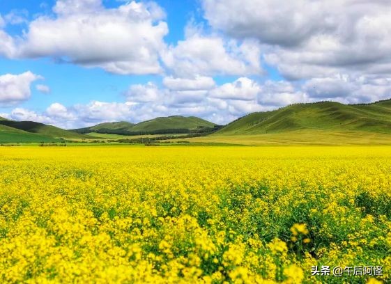 呼伦贝尔大草原旅游七天攻略预算,去呼伦贝尔可以自由行吗