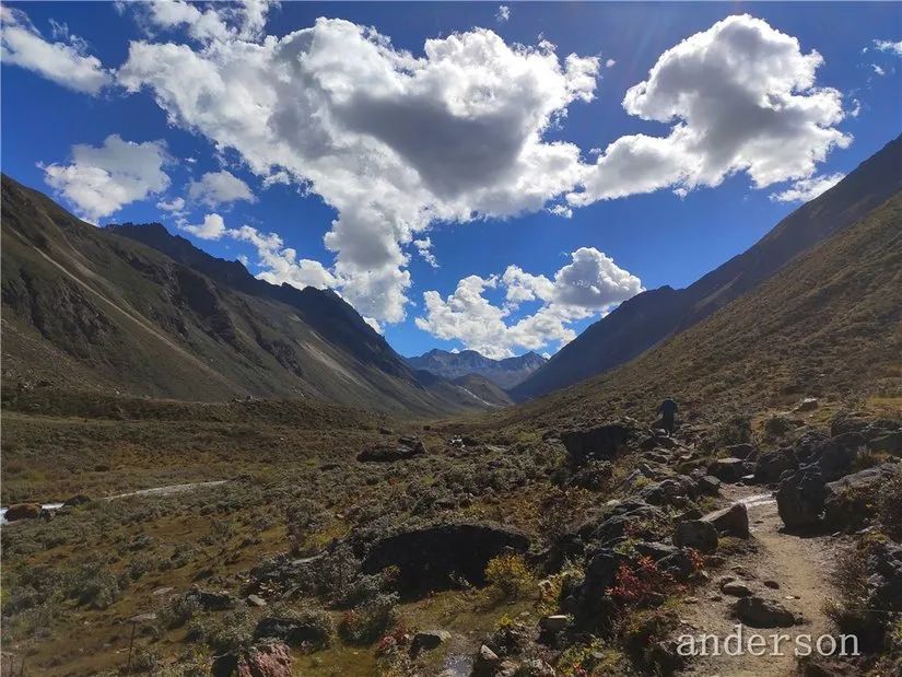 陪着贡嘎过仲秋，深夜听到女生的尖叫（上）