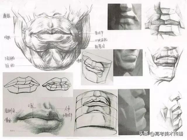 速写五官技法,速写五官的画法精讲