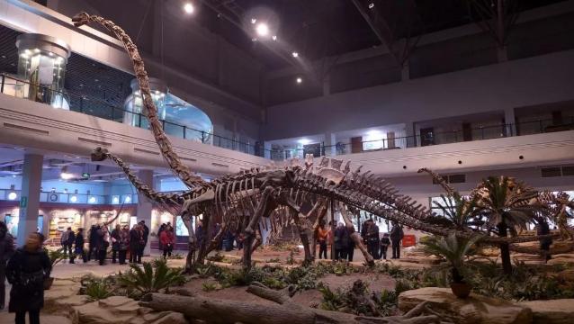 中国恐龙种类有哪些,中国恐龙多少种类