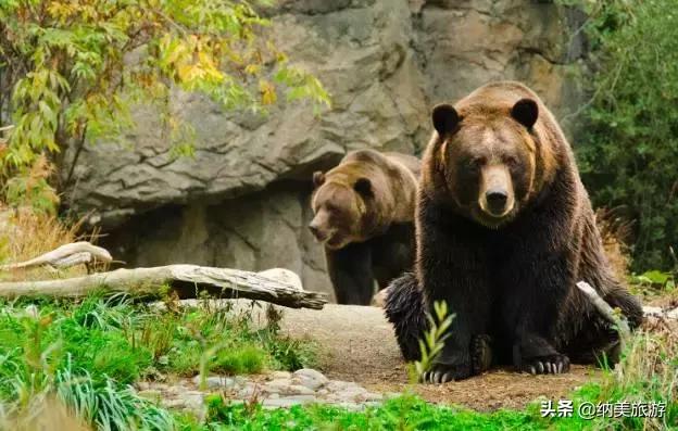 西雅图一生必去的景点,西雅图旅游攻略必去景点大全