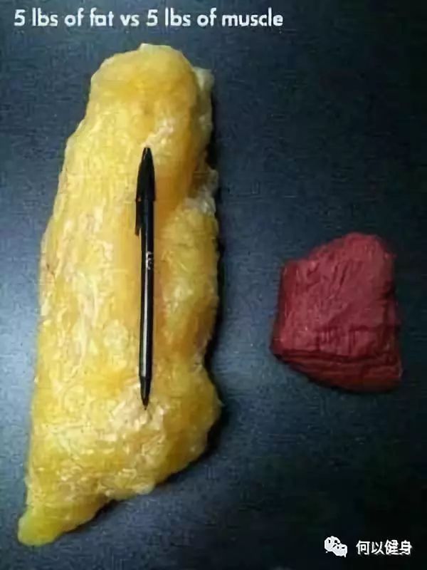 健身房如何快速减脂,如何快速科学减脂