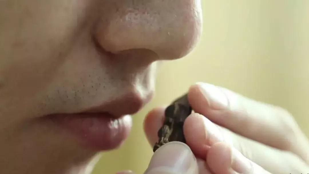 选购沉香的五大纠结症你遇到了吗,入门沉香推荐