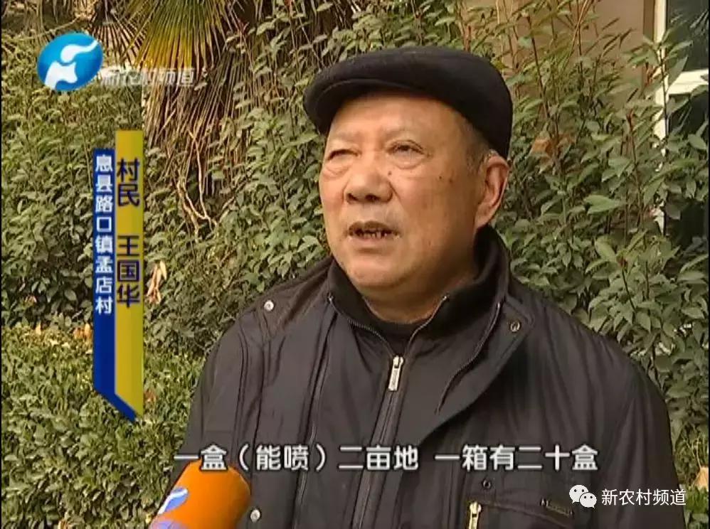 玉米除草剂药害玉米减产吗,玉米受药害减产吗