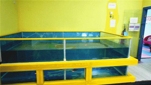 想创业、找项目的快看！门头沟品牌婴幼儿潜水馆火爆转让