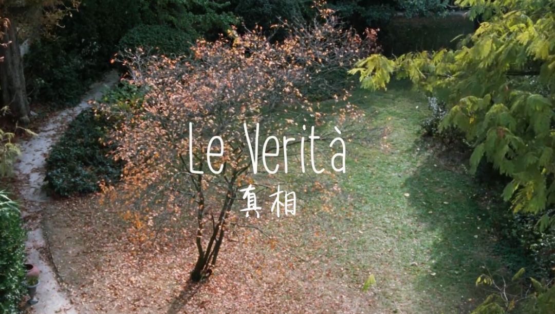 法国十大顶级女神,法国最美的女人超模