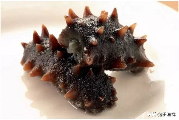 进口海参浅色的是不是假的 (海参怎么判断是不是坏了)