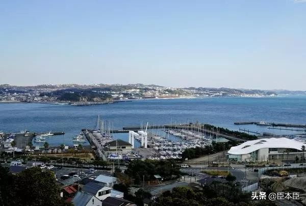 2020年东京奥运会看点大盘点,2020东京奥运会有哪些亮点