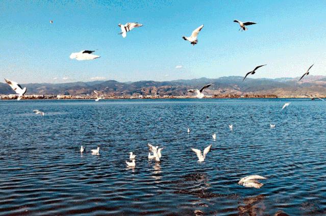 成都怎么过冬的,成都人冬天喜欢去哪过冬