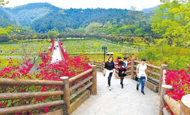 免费游云浮｜如云般洁白轻妙，浮动着向往的生活，云浮免费旅游