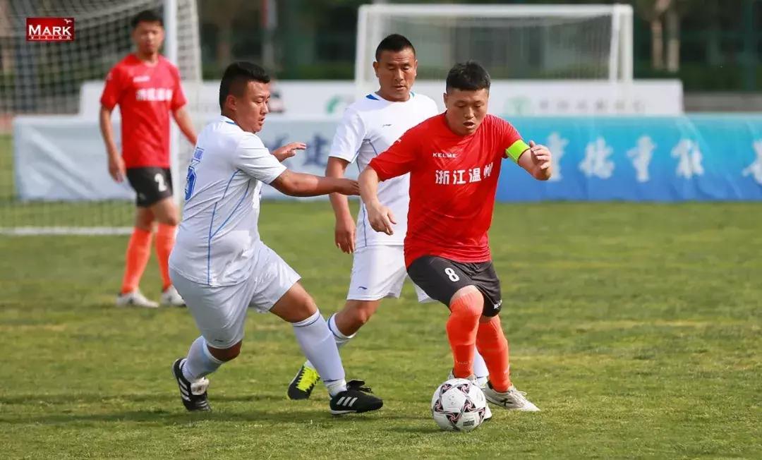 天津运动会开幕式,天津东亚运动会开幕式