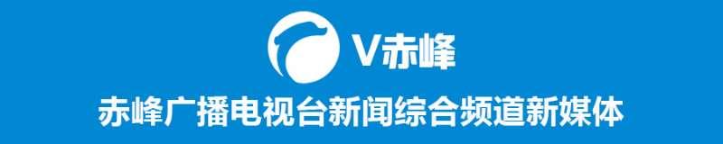 荣获最美家庭称号感言,荣获全市最美家庭