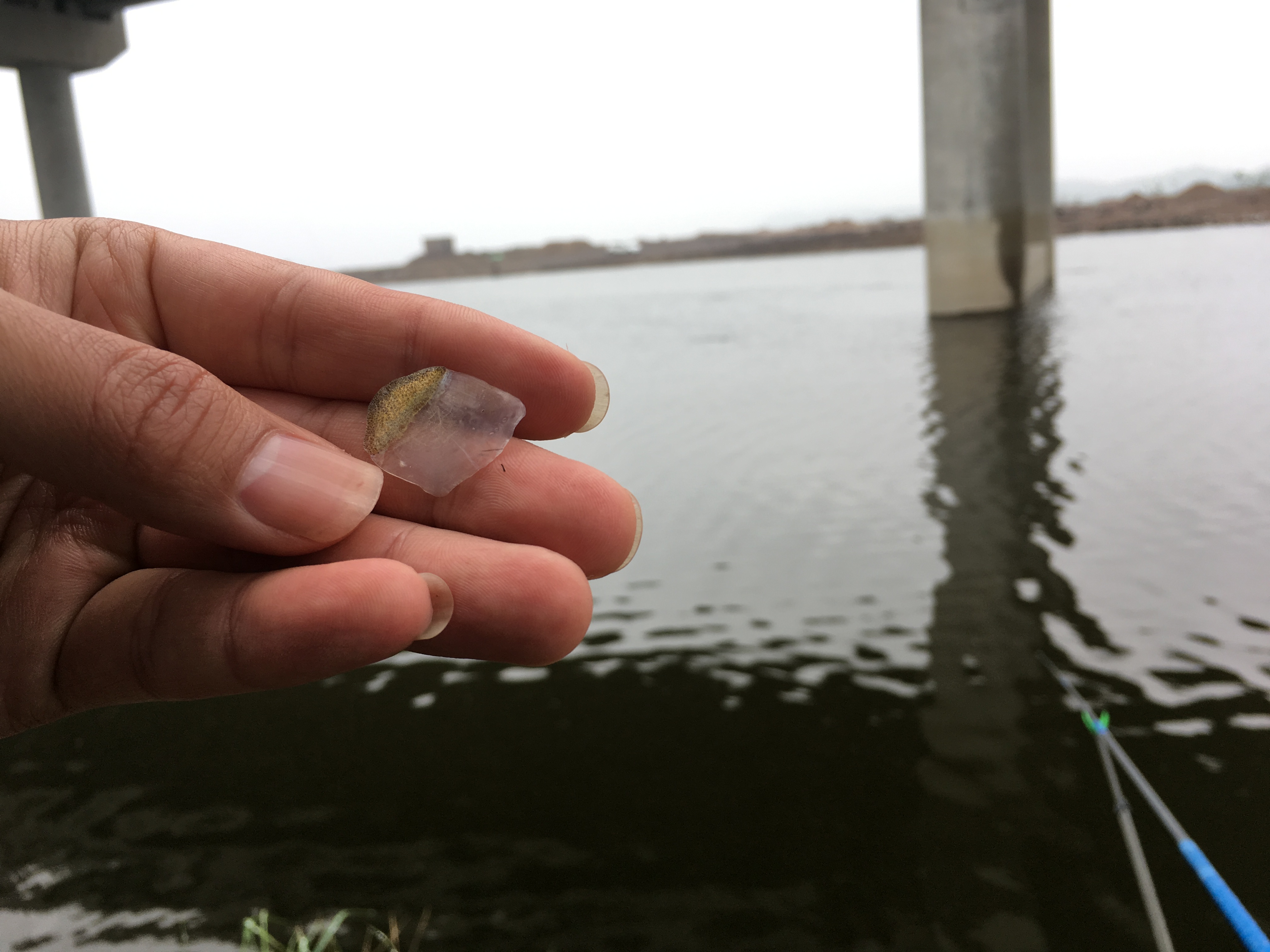 野钓1-4米水深鱼线怎么选择,野沟钓鱼主线子线如何选择